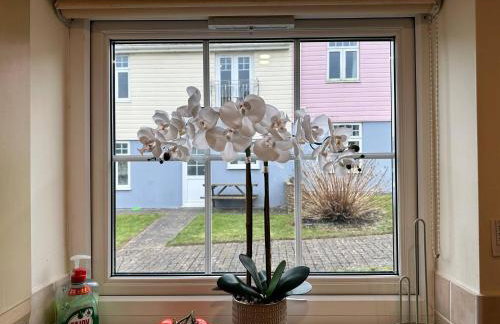 Dog Friendly Holiday Home in Newquay Cornwall - Foto 10