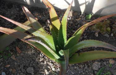 Moradias Ode - Photo 65