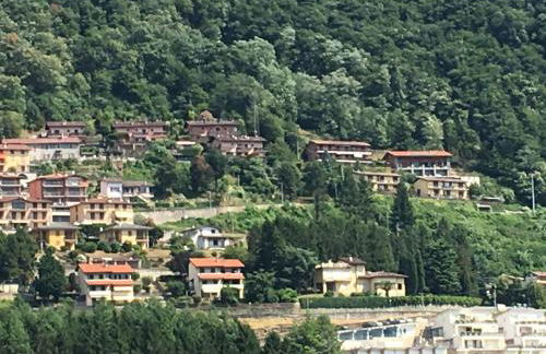 Riflessi di Lago - Foto 18