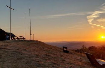 Rhön - Nestchen - Foto 16