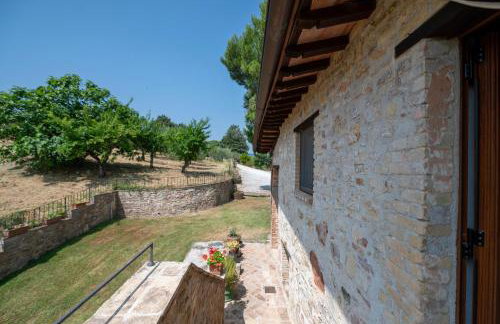 Tulipano - Agriturismo Fogliani - Photo 15