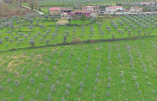 Casa De Vilar do Dão - Foto 40