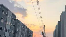 Vista das copaibas - Foto 2