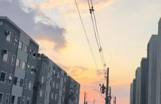 Vista das copaibas - Foto 2