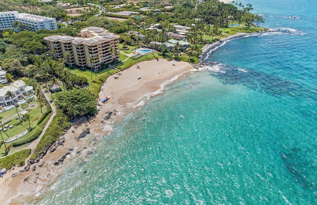 Polo Beach - CoralTree Residence Collection - Photo 1