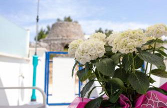 Torrevado relax 5/6 p.letto a 200 metri dal lungomare - Foto 19