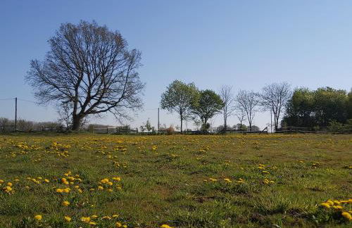 CountryHouse - Foto 1