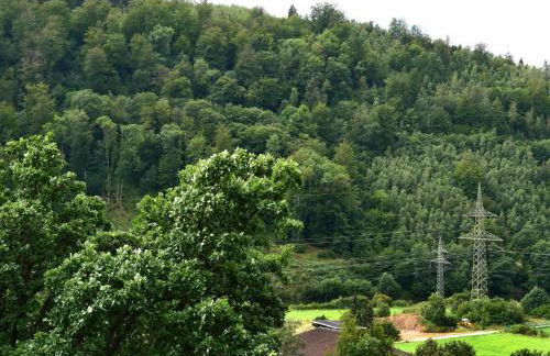 Ferienwohnung Lenneblick - Foto 15