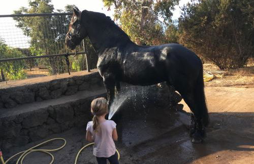 Finca AliBaba - Foto 13