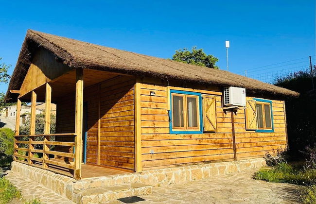 Hamlet's Friends - Foto 49