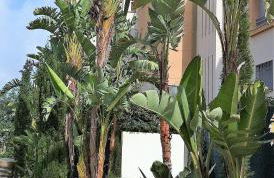 oasis del toyo golf&beach private garden wifi - Foto 39