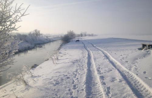 Fewo-Thüringer-Becken - Foto 8