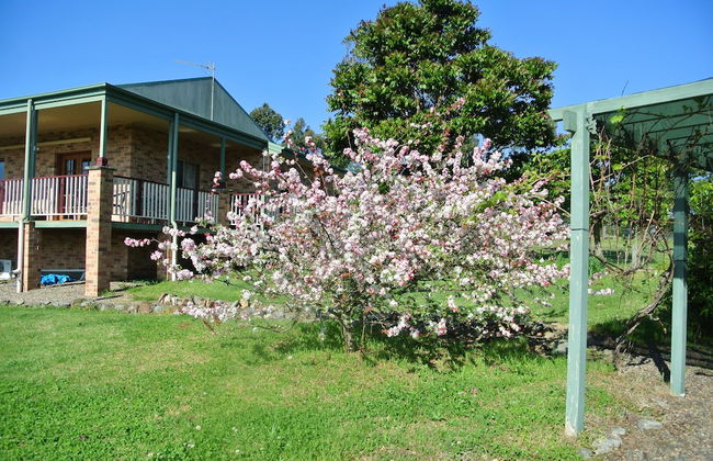 Bryn Glas Farm Stay - Foto 19
