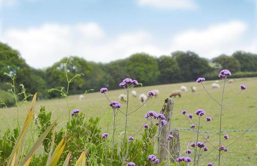 Chilsham Barn - Foto 42