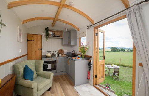 The Acorn - Luxury Shepherds Hut hot tub panoramic views - Foto 23