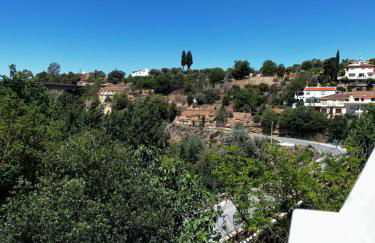 El puente de lata 2 - Photo 2