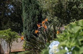 Casa Costaneira - Foto 43