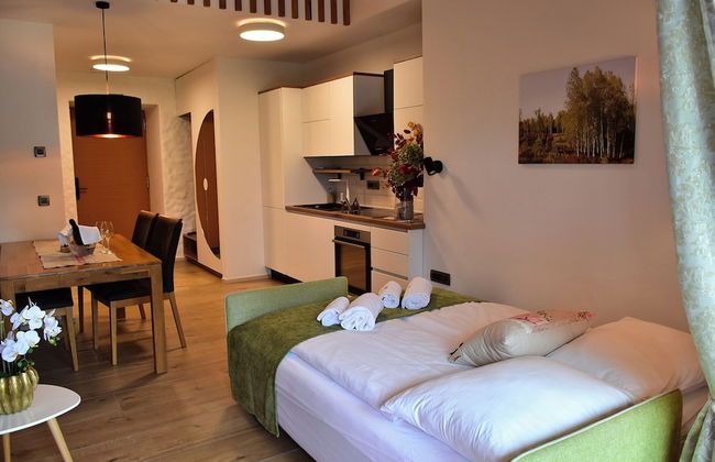 Kolpa Resort Village Majer - Apartments and Glamping - Foto 7