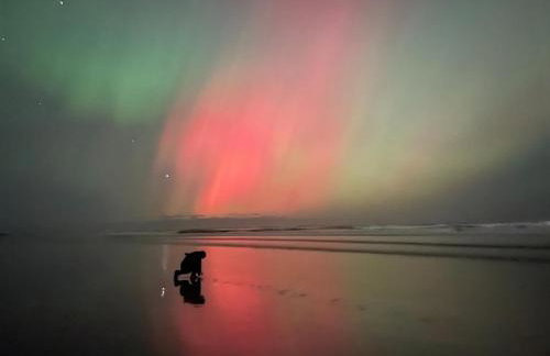 St Hilda Beach Hut Alnmouth - Foto 35
