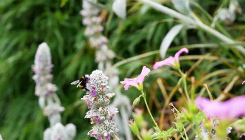 Ferienwohnung Veronika Heilbock - Foto 3