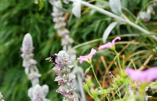 Ferienwohnung Veronika Heilbock - Foto 3
