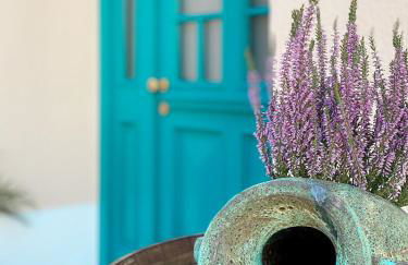 Winzerhof Mußbach, Ihr Feriendomizil in der Pfalz - Foto 41