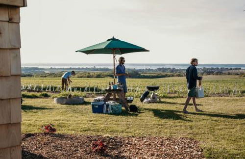 Dome Meadows 2 At Tapnell Farm - Photo 18