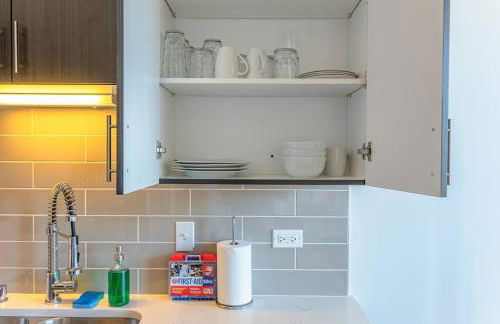 Spacious 2BR South Loop with Skyline view, Optional Parking and Gym Access Near McCormick Place and Soldier Field - Foto 19