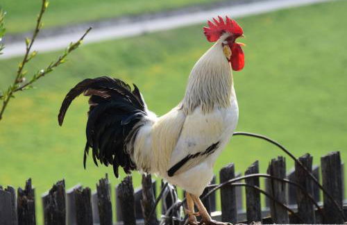 Hofrichter - Photo 42