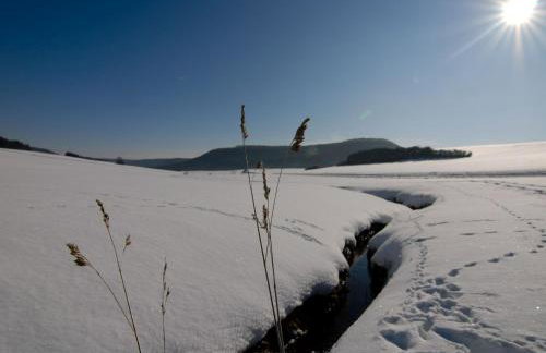 63qm im Eschachtal - Foto 6