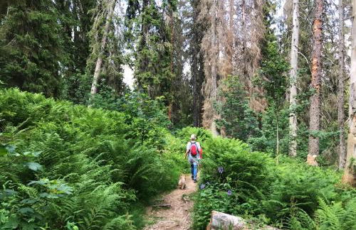 Ferienhaus Robin - Foto 39