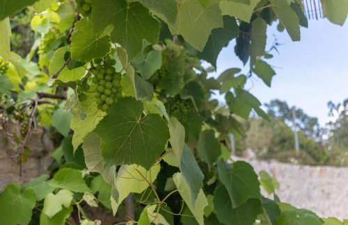 Villa Serra - Foto 38