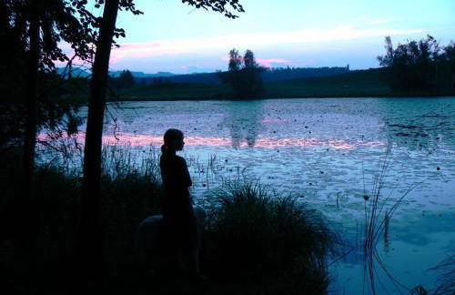 Hiemer 2 Comfortable holiday residence - Foto 34