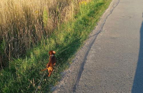 Ferienwohnung Stadt-Land-Fluss - Foto 64