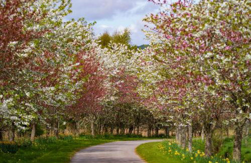 Balnagown Estates - Foto 75