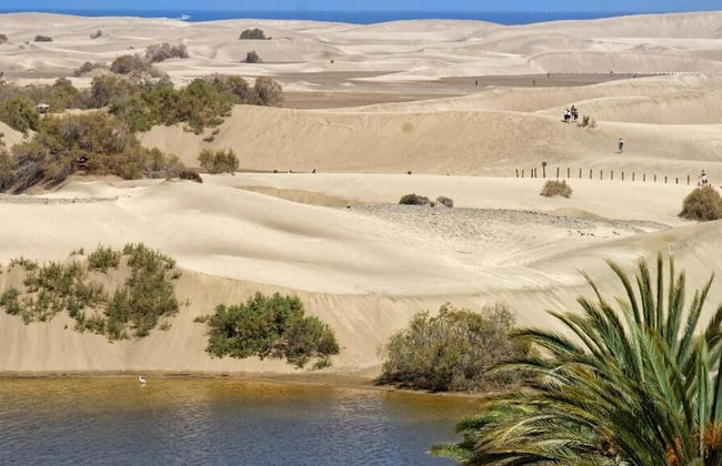 Apartamentos Tamara - Foto 42