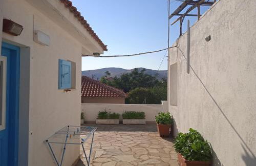 Anthemis Studios - Photo 3