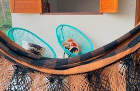 Casa Das Árvores BonitoMS - Foto 30