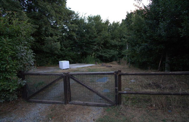 Dolce Casa - Charming Renovated Home With Modern Amenities and Antique Features - Foto 13