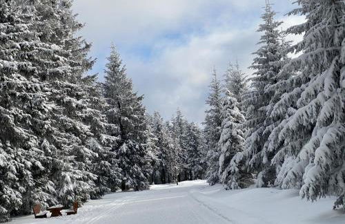 Ferienwohnung Werraquell Hütte - Foto 8