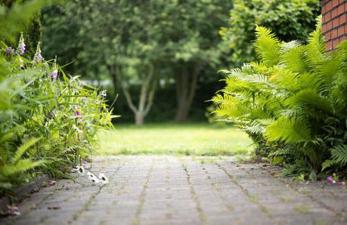 Ferienwohnung Mientje, 35214 - Foto 14