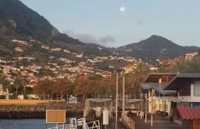 VIP Paradise Apartment - Foto 42