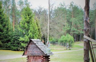 PIZUNY Dom pod dębem z balią na wyłączność - Foto 39