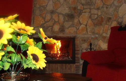 Hort De La Cinteta - Foto 14