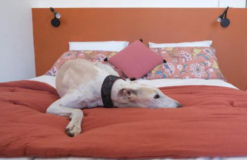 A l'ombre des remparts - Foto 25