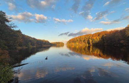 Przystań Korońa nad jeziorem Raduń - Foto 15