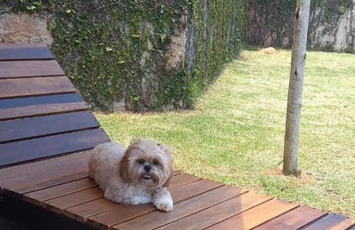 Chácara em Atibaia - Foto 23