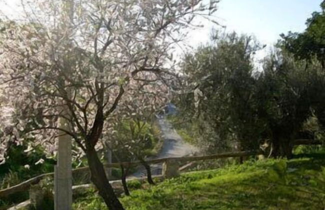 That's Amore Cilento Country House - Foto 30