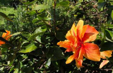 A charming spot - Foto 29