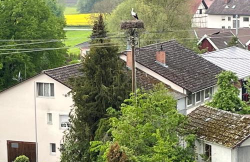 Ferienwohnung See-Ländle 1 - Foto 8